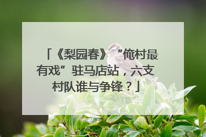 《梨园春》“俺村最有戏”驻马店站，六支村队谁与争锋？