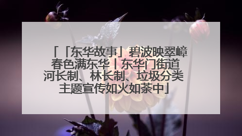 「东华故事」碧波映翠嶂 春色满东华丨东华门街道河长制、林长制、垃圾分类主题宣传如火如荼中
