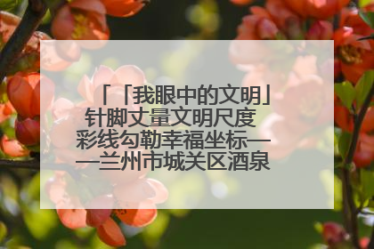 「我眼中的文明」针脚丈量文明尺度 彩线勾勒幸福坐标——兰州市城关区酒泉路街道办事处