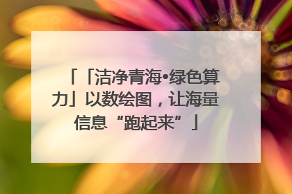 「洁净青海•绿色算力」以数绘图，让海量信息“跑起来”