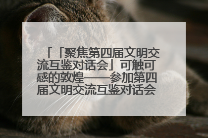 「聚焦第四届文明交流互鉴对话会」可触可感的敦煌——参加第四届文明交流互鉴对话会的外宾参观上元市集