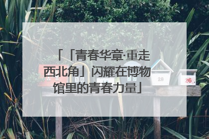 「青春华章·重走西北角」闪耀在博物馆里的青春力量