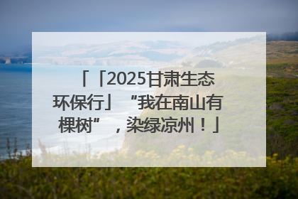 「2025甘肃生态环保行」“我在南山有棵树”，染绿凉州！
