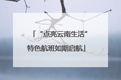 “点亮云南生活”特色航班如期启航