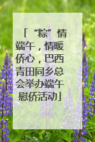 “粽”情端午，情暖侨心，巴西青田同乡总会举办端午慰侨活动
