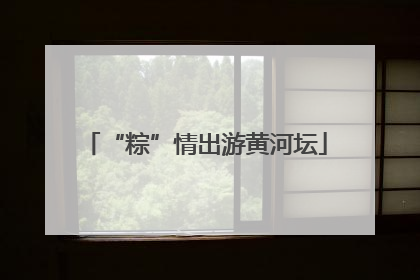 “粽”情出游黄河坛
