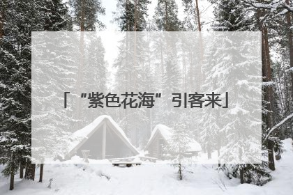 “紫色花海”引客来