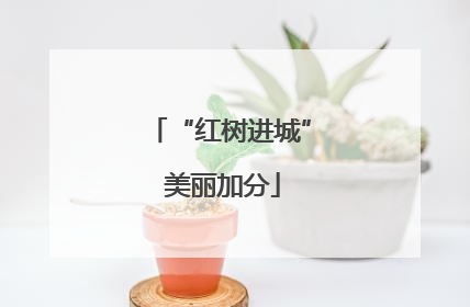“红树进城” 美丽加分