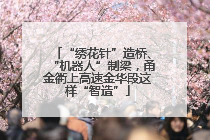 “绣花针”造桥、“机器人”制梁，甬金衢上高速金华段这样“智造”