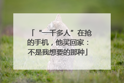 “一千多人”在抢的手机，他买回家：不是我想要的那种