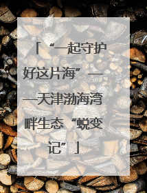 “一起守护好这片海”——天津渤海湾畔生态“蜕变记”