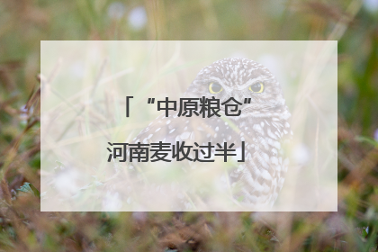 “中原粮仓”河南麦收过半