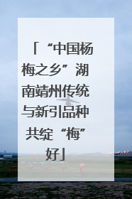 “中国杨梅之乡”湖南靖州传统与新引品种共绽“梅”好