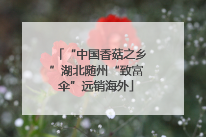 “中国香菇之乡”湖北随州“致富伞”远销海外