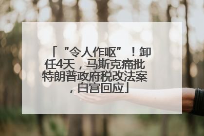 “令人作呕”！卸任4天，马斯克痛批特朗普政府税改法案，白宫回应