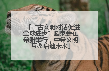 “古文明对话促进全球进步”圆桌会在希腊举行，中希文明互鉴启迪未来