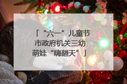 “六一”儿童节 市政府机关三幼萌娃“嗨翻天”