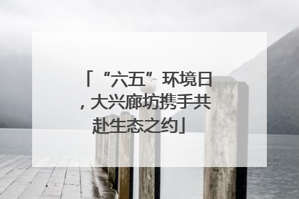 “六五”环境日，大兴廊坊携手共赴生态之约