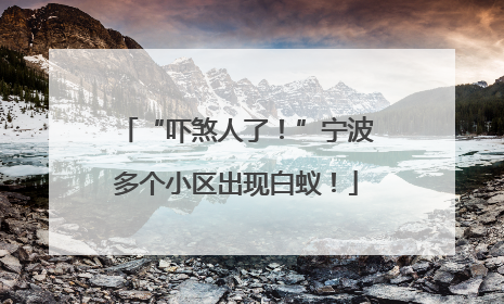 “吓煞人了！”宁波多个小区出现白蚁！