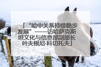 “哈中关系持续稳步发展”——访哈萨克斯坦文化与信息部副部长叶夫根尼·科切托夫