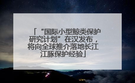 “国际小型鲸类保护研究计划”在汉发布，将向全球推介落地长江江豚保护经验