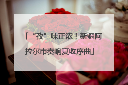 “孜”味正浓！新疆阿拉尔市奏响夏收序曲