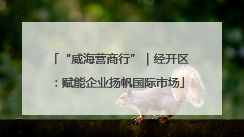 “威海营商行”｜经开区：赋能企业扬帆国际市场