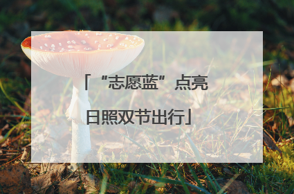 “志愿蓝”点亮日照双节出行