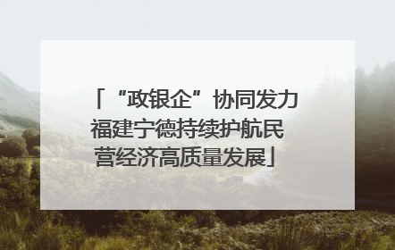 “政银企”协同发力 福建宁德持续护航民营经济高质量发展