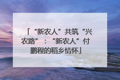 “新农人”共筑“兴农路”：“新农人”付鹏程的稻乡情怀