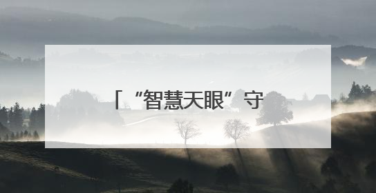“智慧天眼”守护湿地 联通助力东明县打造生物多样性保护新范式