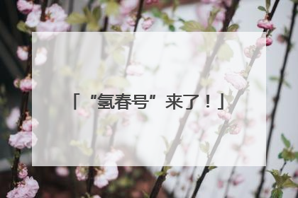 “氢春号”来了！