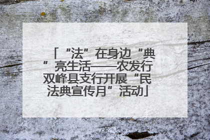 “法”在身边“典”亮生活——农发行双峰县支行开展“民法典宣传月”活动