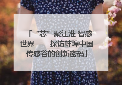 “芯”聚江淮 智感世界——探访蚌埠中国传感谷的创新密码