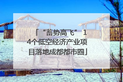 “蓄势高飞” 14个低空经济产业项目落地成都都市圈