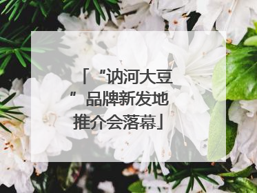 “讷河大豆”品牌新发地推介会落幕