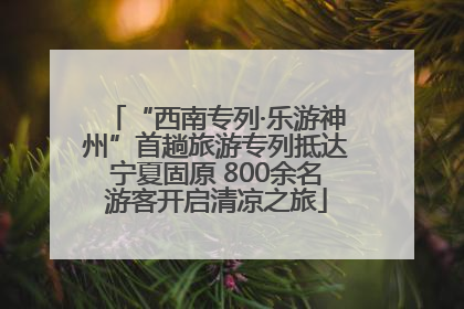 “西南专列·乐游神州”首趟旅游专列抵达宁夏固原 800余名游客开启清凉之旅