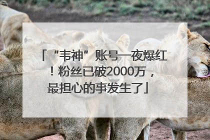 “韦神”账号一夜爆红！粉丝已破2000万，最担心的事发生了
