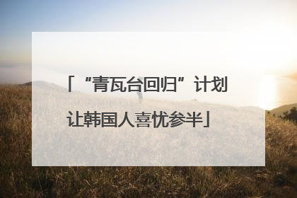 “青瓦台回归”计划让韩国人喜忧参半