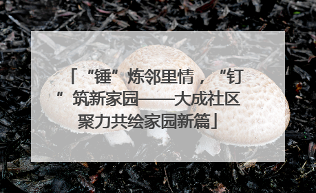 “锤”炼邻里情，“钉”筑新家园——大成社区聚力共绘家园新篇