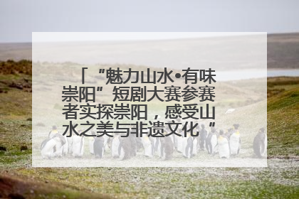 “魅力山水•有味崇阳”短剧大赛参赛者实探崇阳，感受山水之美与非遗文化“提琴戏”魅力