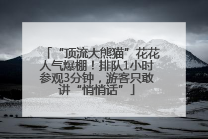 “顶流大熊猫”花花人气爆棚！排队1小时参观3分钟，游客只敢讲“悄悄话”