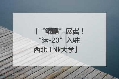 “鲲鹏”展翼！“运-20”入驻西北工业大学