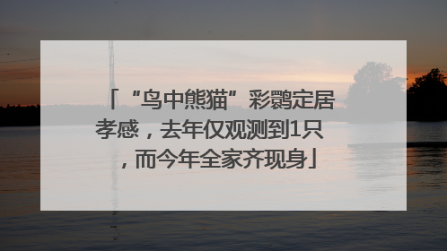 “鸟中熊猫”彩鹮定居孝感，去年仅观测到1只，而今年全家齐现身