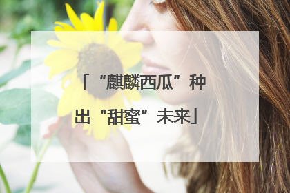 “麒麟西瓜”种出“甜蜜”未来