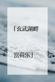 玄武湖畔赏荷乐