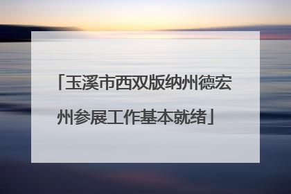 玉溪市西双版纳州德宏州参展工作基本就绪