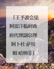 王予波会见阿富汗临时政府代理副总理阿卜杜·萨拉姆·哈纳菲