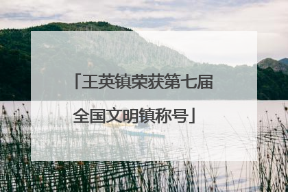 王英镇荣获第七届全国文明镇称号