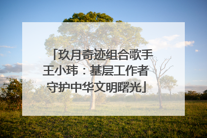 玖月奇迹组合歌手王小玮：基层工作者守护中华文明曙光
